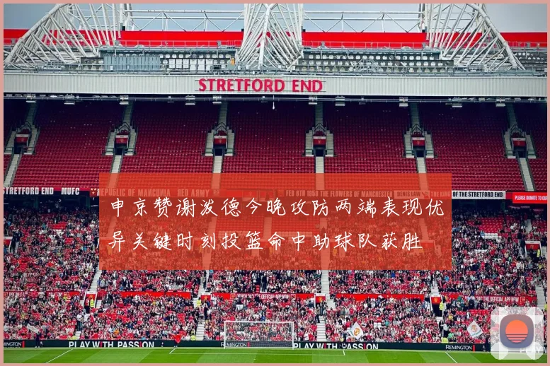 申京赞谢泼德今晚攻防两端表现优异关键时刻投篮命中助球队获胜