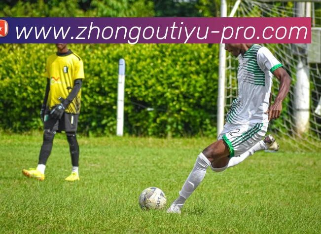 中欧体育服务体系